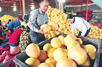 厲害了！湖北19個特產受國家保護，以你家鄉命名食用農產品批發